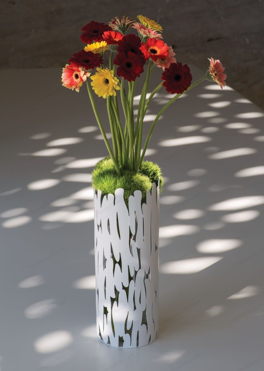 Barkvase花瓶