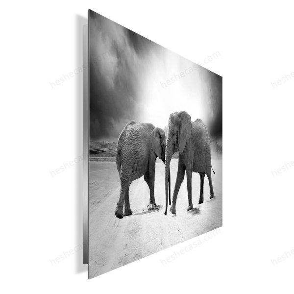 Ethnic Elephants Duo装饰画