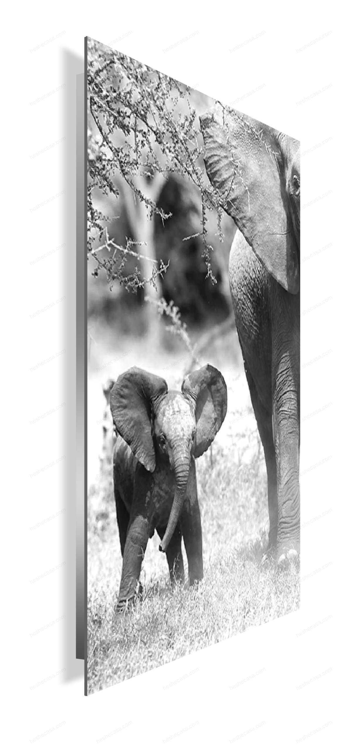 Savane Elephant Bebe装饰画