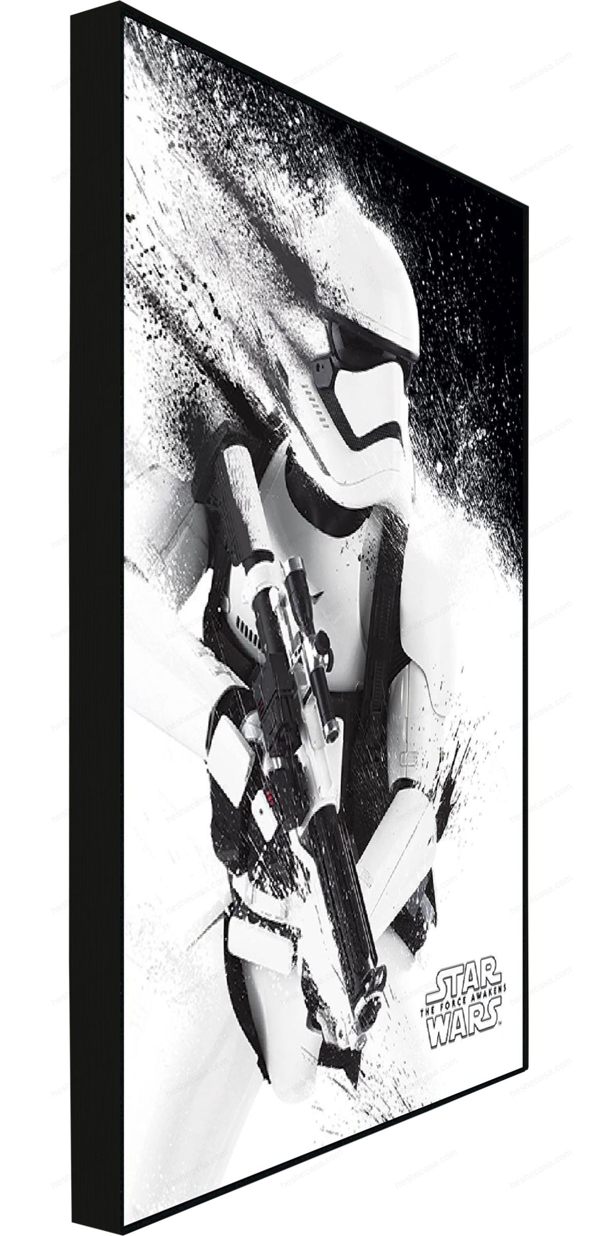 Star Wars Stormtrooper Paint装饰画