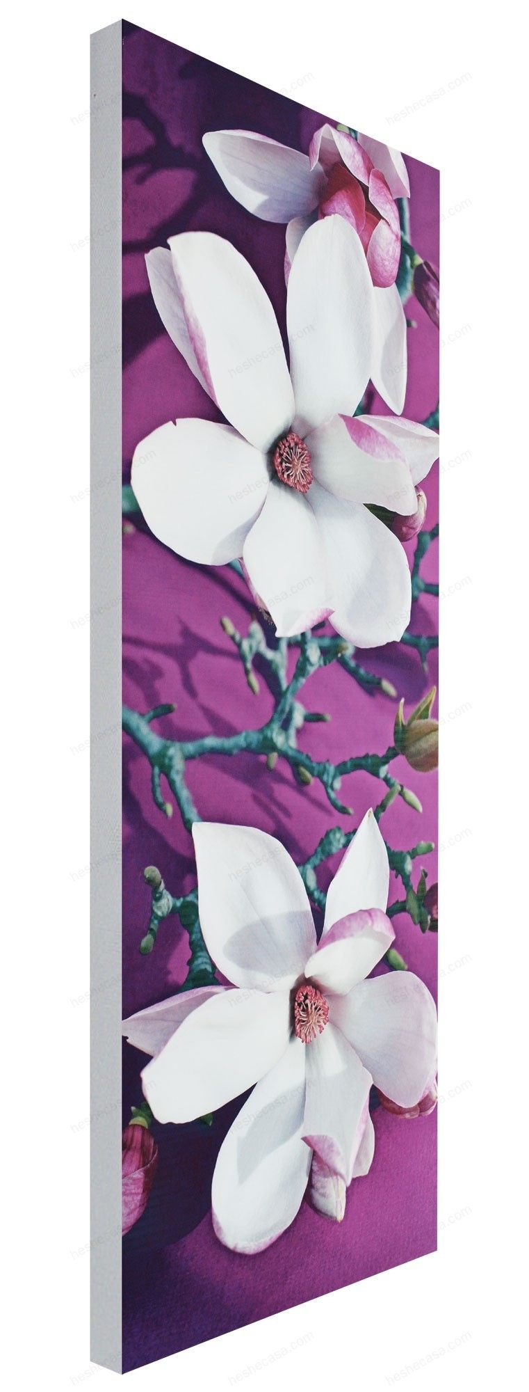 Toile Imp Magnolia Bouquet 35X90装饰画