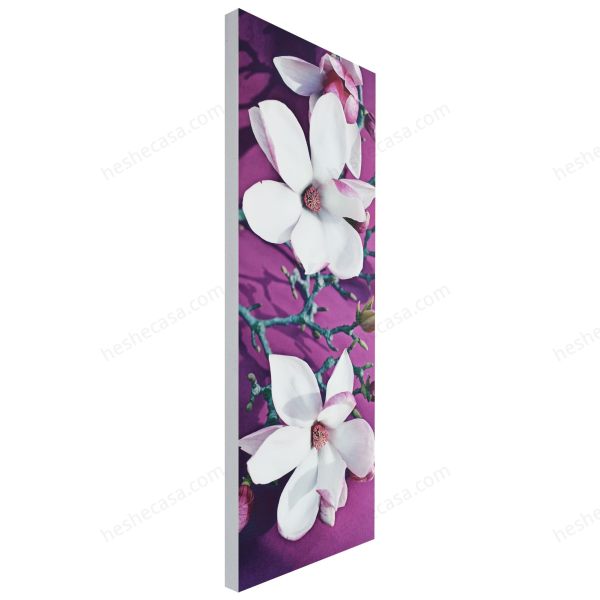 Toile Imp Magnolia Bouquet 35X90装饰画