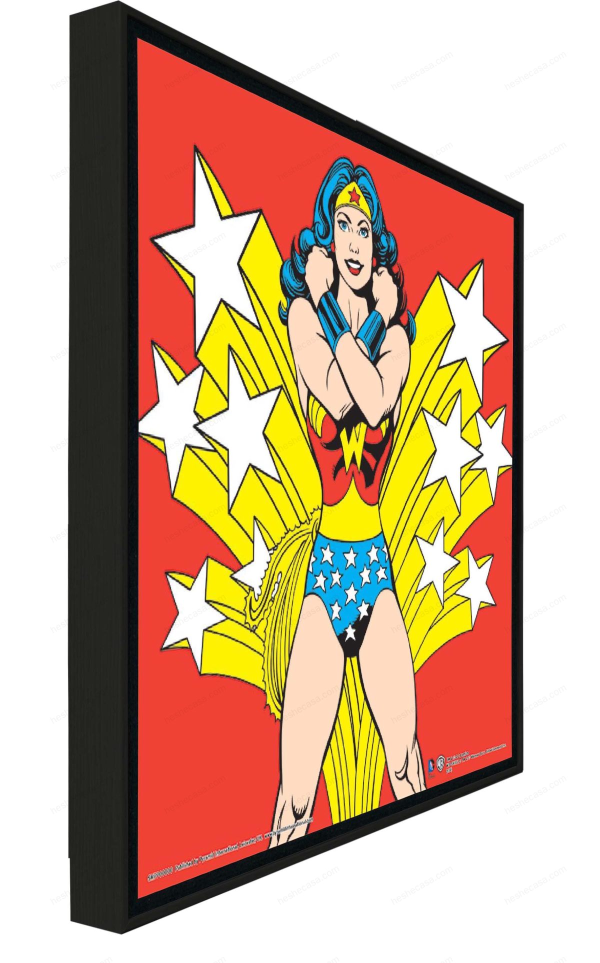 Wonder Woman Comics装饰画