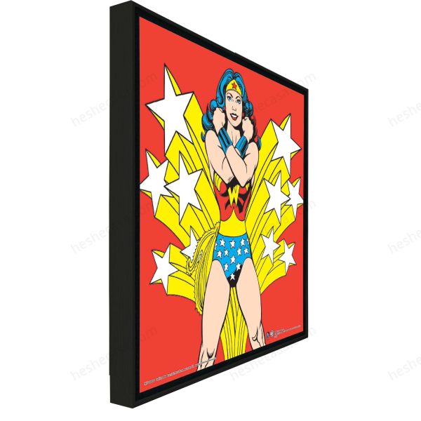 Wonder Woman Comics装饰画