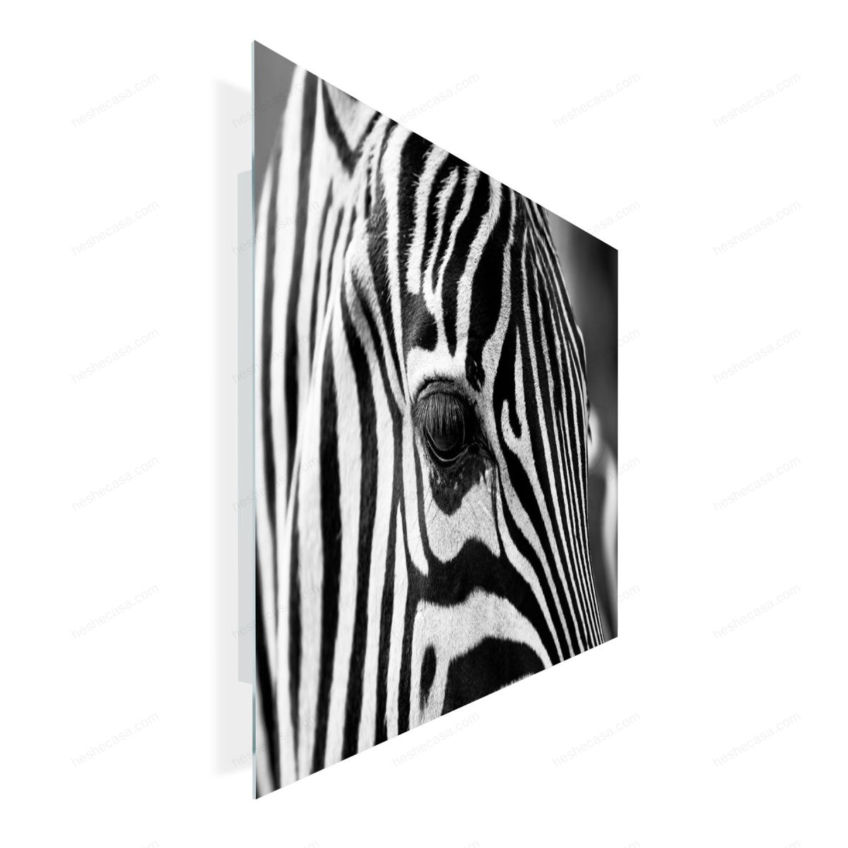 Zebra Eyes装饰画