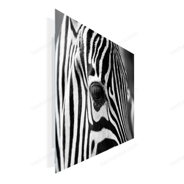 Zebra Eyes装饰画