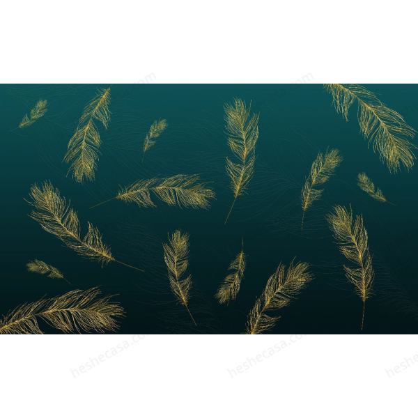 Feathers壁纸