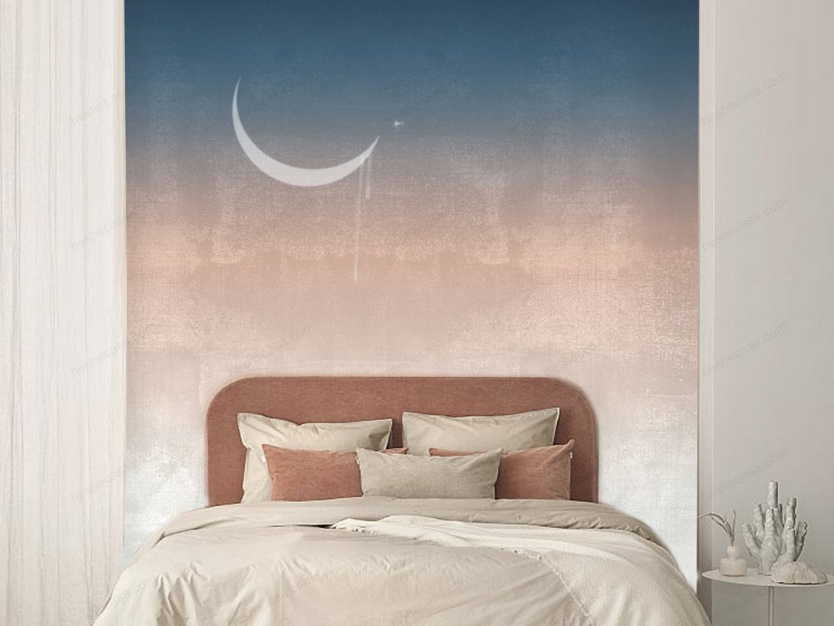 Moonlight壁纸