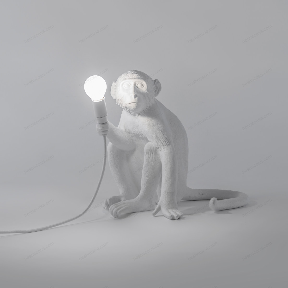 The Monkey Lamp Sitting 落地灯户外灯