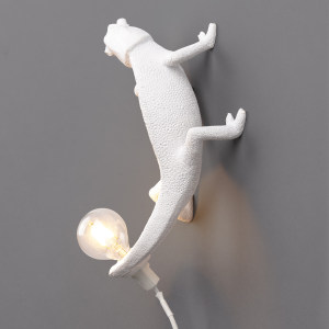Chameleon Going Up壁灯
