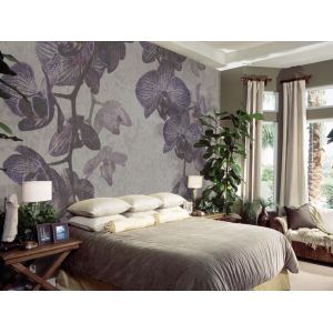 Orchidales壁纸