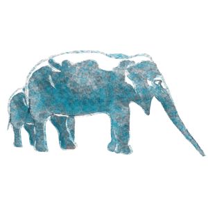 Aqua Elephas壁纸