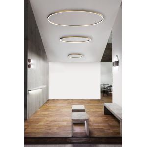 File Flex Circle Ceiling吸顶灯