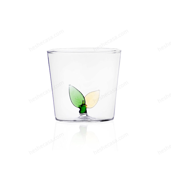 Greenwood 玻璃水杯