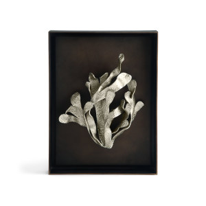 Kelp Shadow Box Antique Nickel装饰画