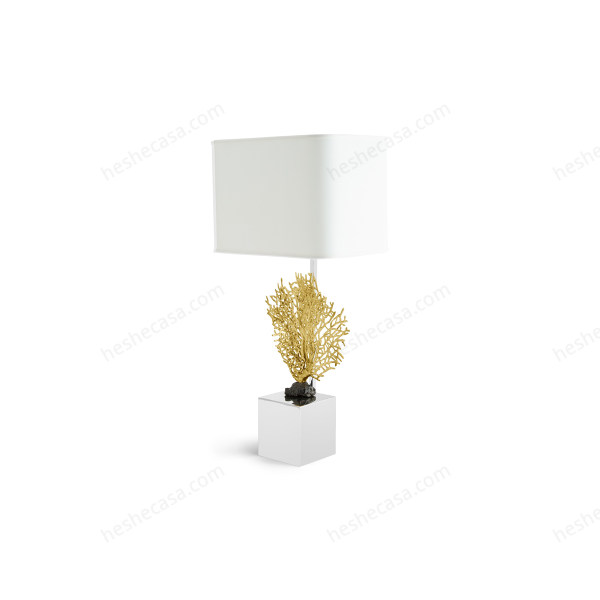 Fan Coral Table Lamp台灯