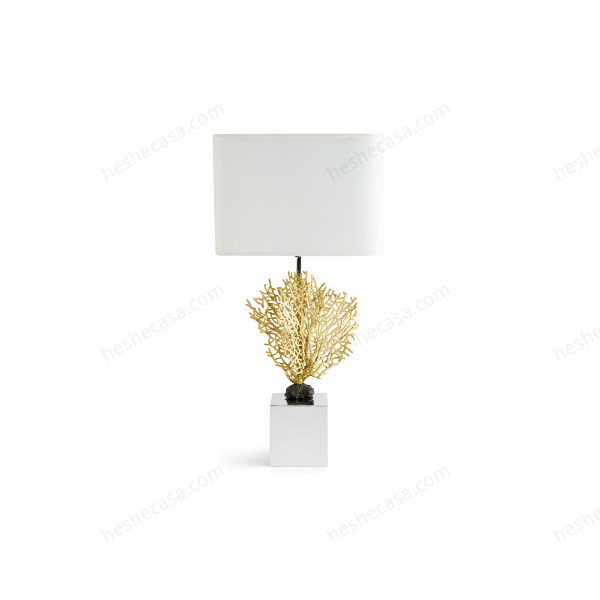 Fan Coral Table Lamp台灯