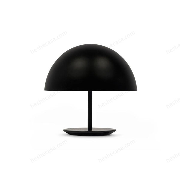 Dome Lamp台灯