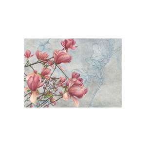 Magnolia In Bloom壁纸