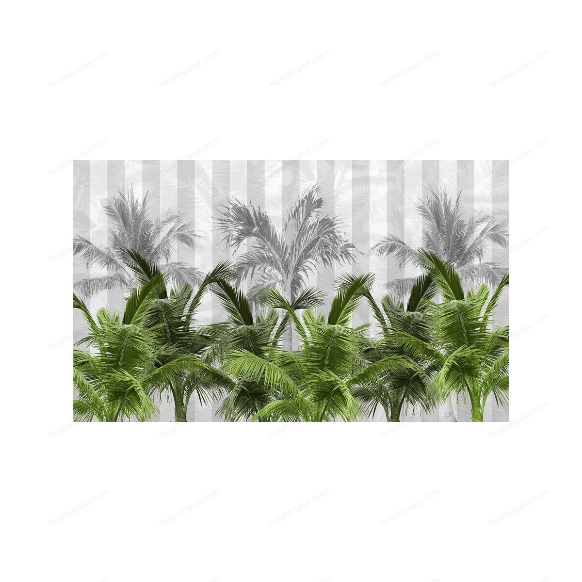 Palms Spring壁纸