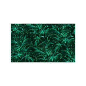 Palm Plethora壁纸