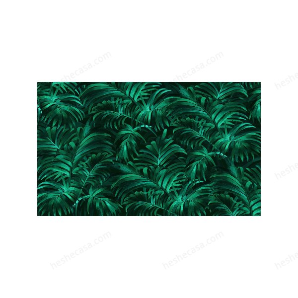 Palm Plethora壁纸