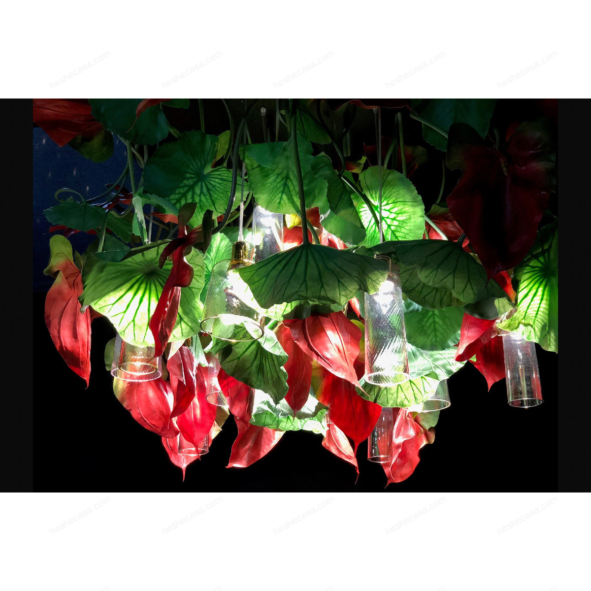 Flower Power Anthurium Square吸顶灯