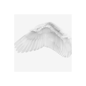 White Angel壁纸