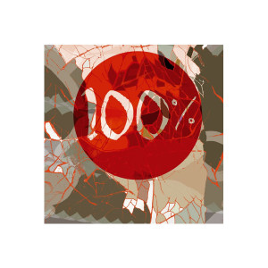 One Hundredpercent壁纸