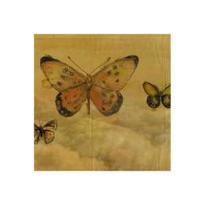 Butterflies壁纸