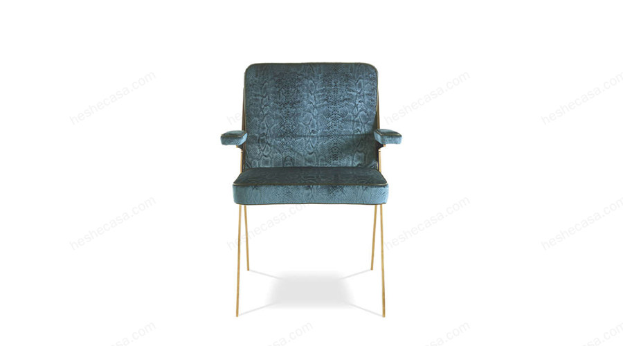 4款Roberto Cavalli单椅：独树一帜的魅力绽放 第4张