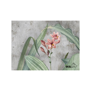 Wallace壁纸