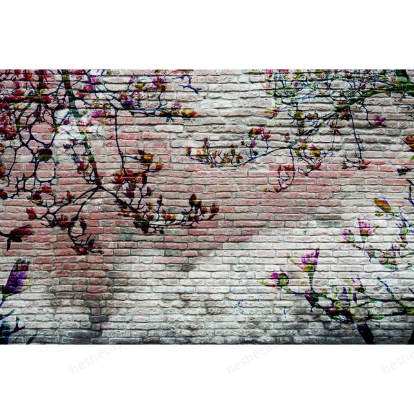 Magnolia壁纸