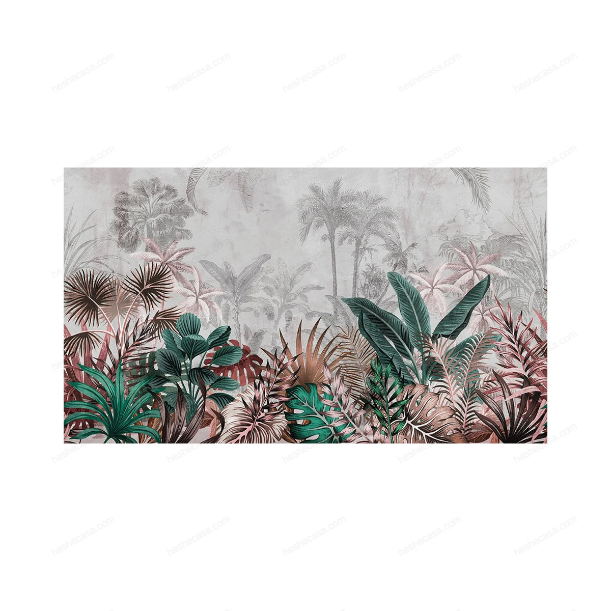 Rainforest壁纸