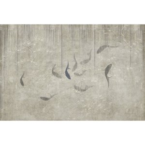 White Fishes壁纸