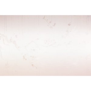 Pink Blossom壁纸