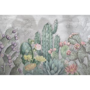 Cactus Panorama壁纸