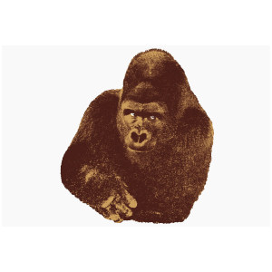 Quindici, Il Gorilla装饰画