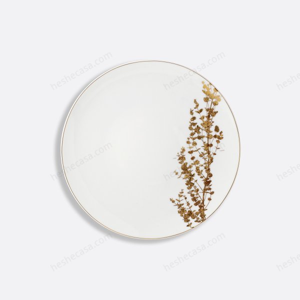 Vegetal Or Dinner Plate 10.5'' 盘子