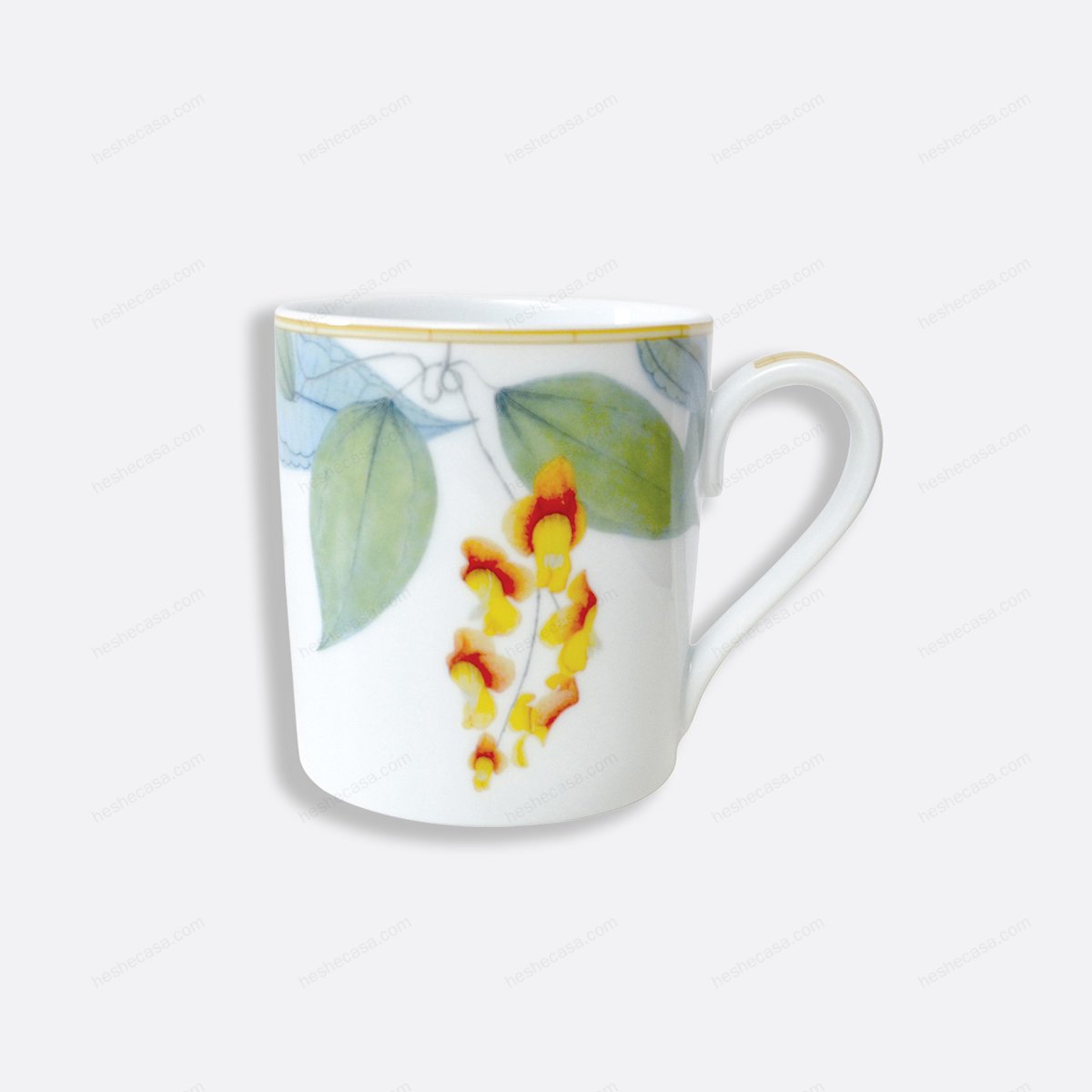 Jardin Indien Mug 12 Oz 水杯