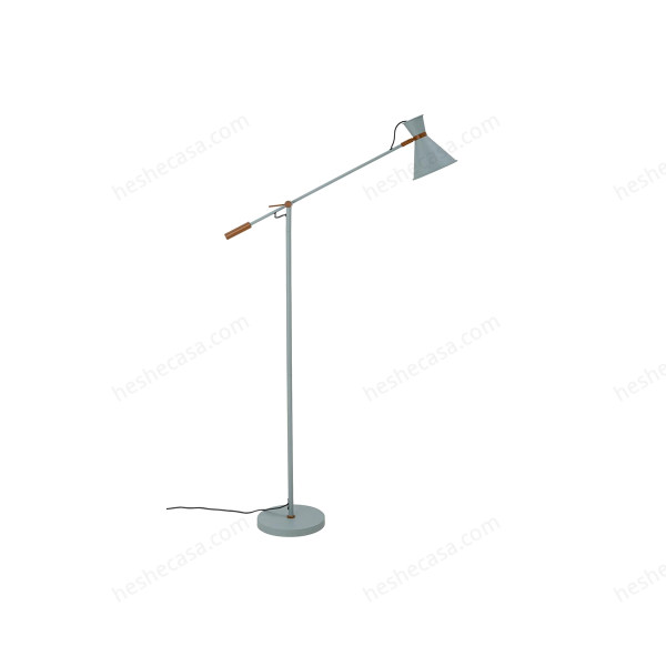 Raffi Floor Lamp, Green, Metal落地灯