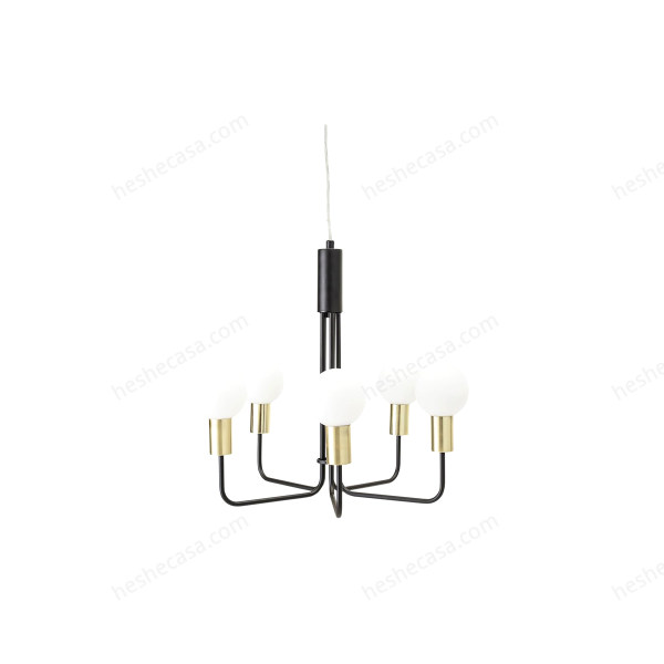 Delfina Pendant Lamp, Gold, Metal吊灯