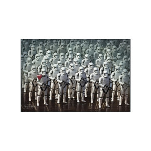 Star Wars Storm Army装饰画