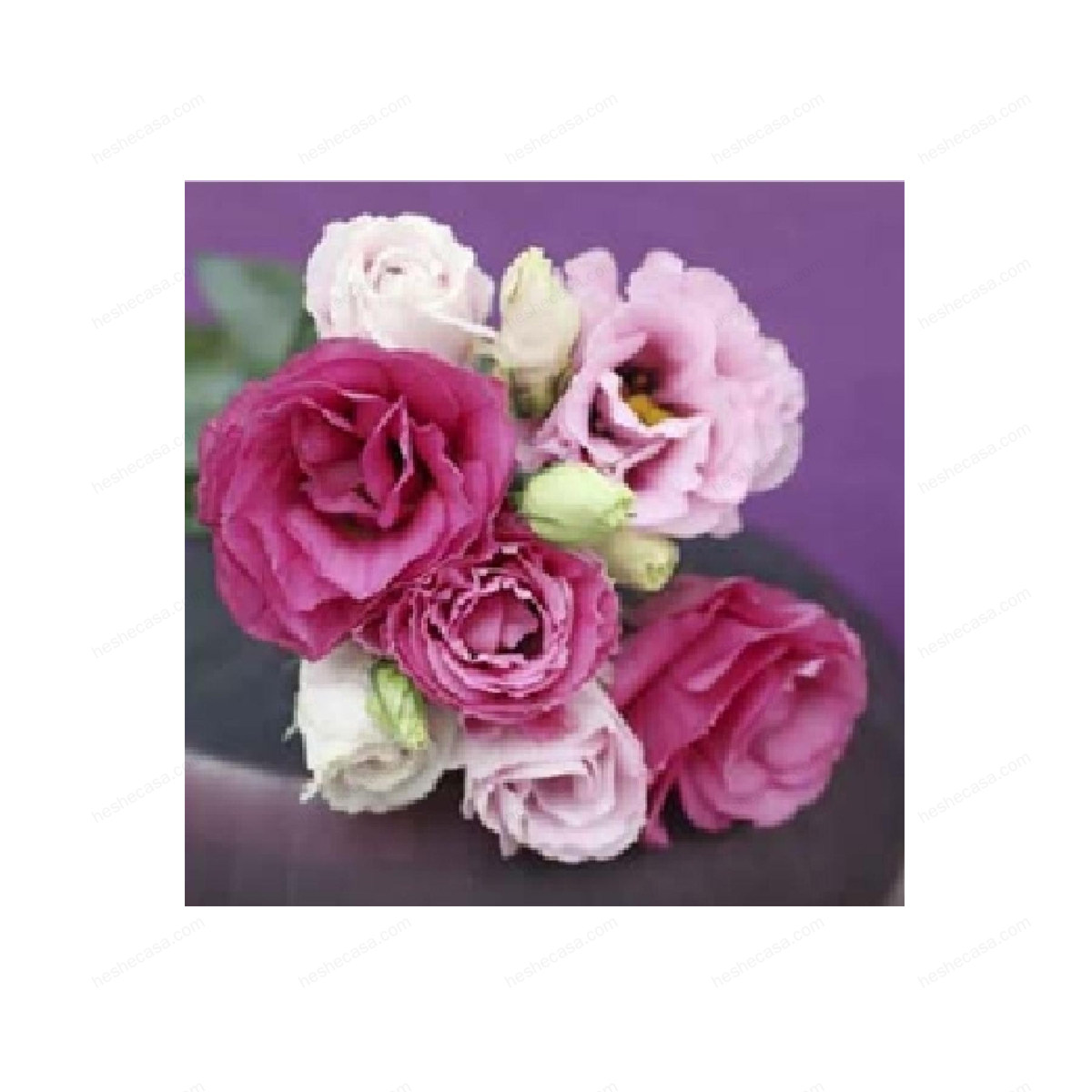 Toile Imp Rose Fushia 70X70Cm装饰画