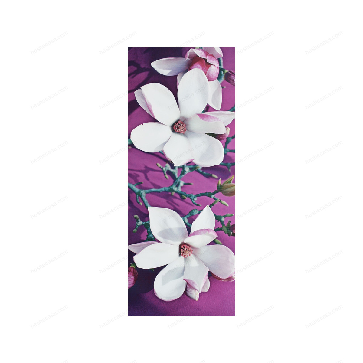 Toile Imp Magnolia Bouquet 35X90装饰画