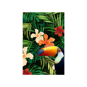 Tropical Toucan装饰画
