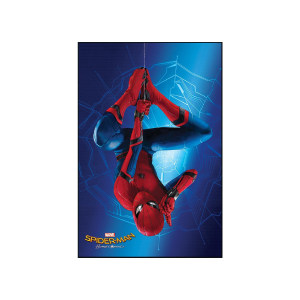 Spiderman Homecoming装饰画