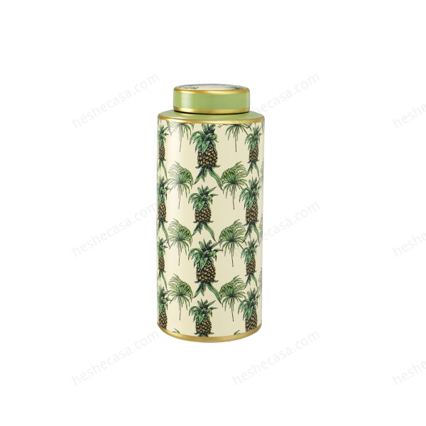 Jar Pineapple Set Of 3 储物罐