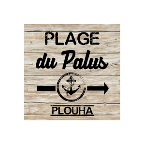 Panneau Plage Palus装饰画