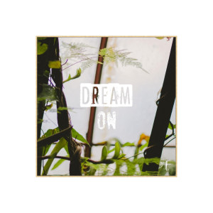 Ha Dream On装饰画